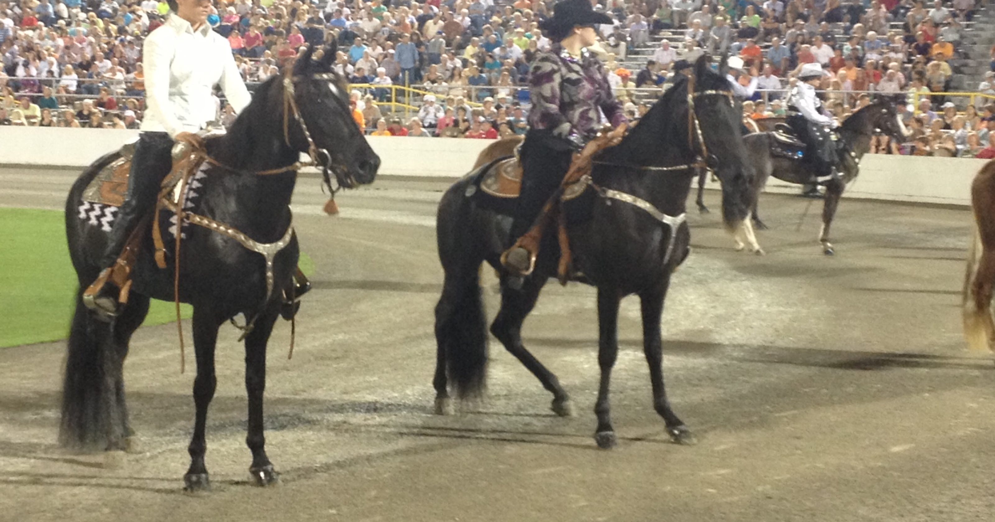 Tennessee Walking Horse Celebration will do own testing