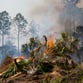 Wildfire crews decrease threat to homes from Picayune Strand blaze