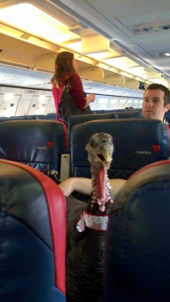 777