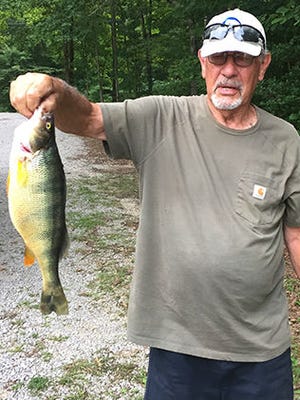 Richard Marsich of Crossville shows off the yellow perch he caught in the Fairfield Glade area of Cumberland County. The fish tied the state record at 2 pounds, 3 ounces.