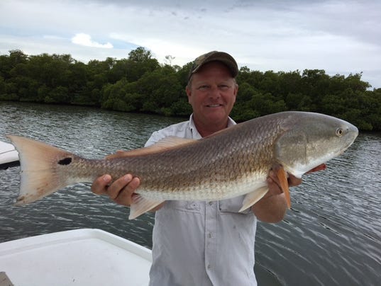 Southwest Florida Fishing Report Anglers Have Festive Fourth