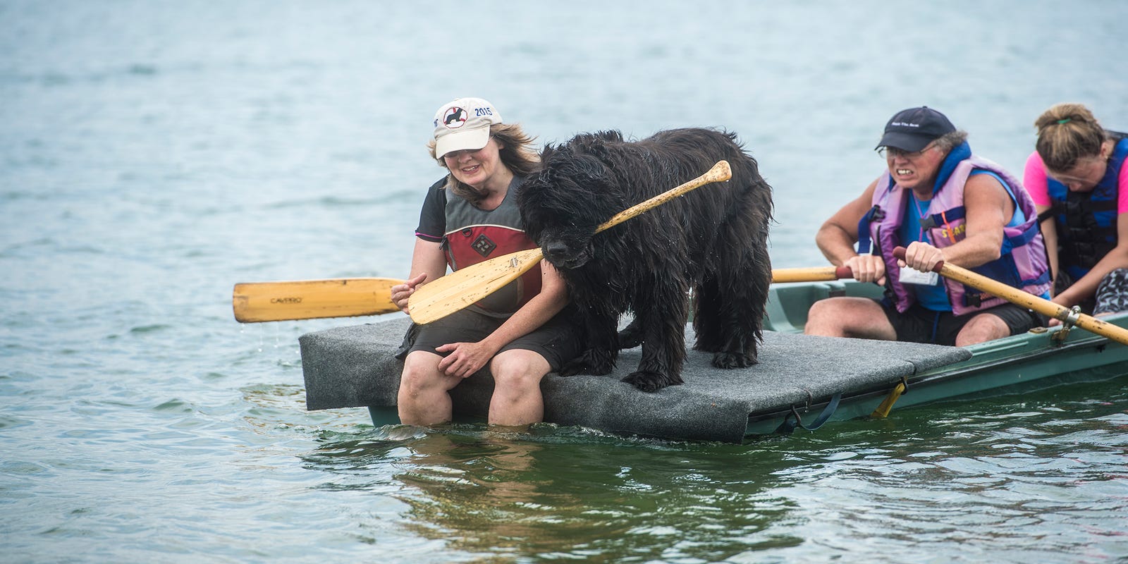 Dogs perform water rescue at Codorus