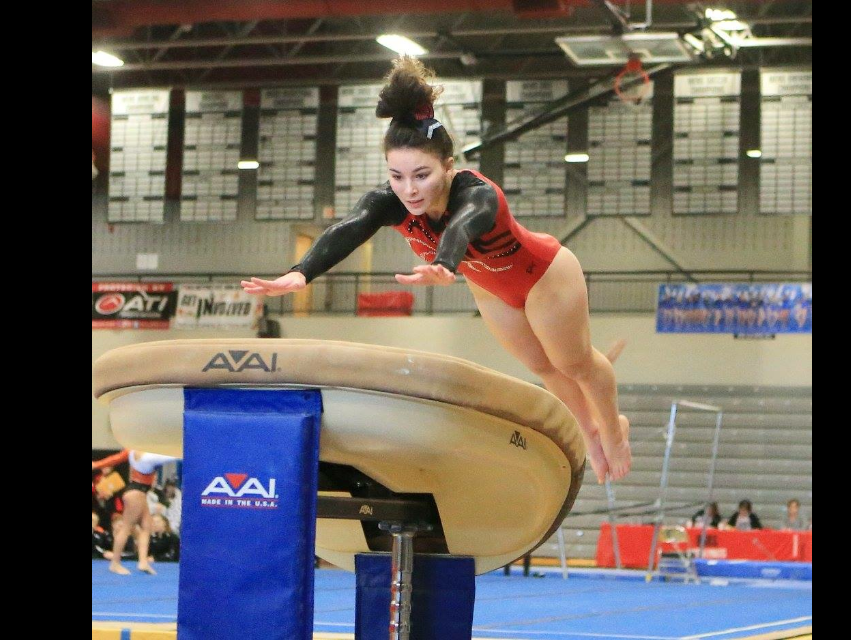 Canton High School gymnast and vaulter Katherine Najduk is among the athletes competing in the 2017 MHSAA gymnastics state championships.