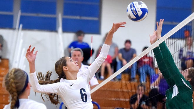 Robert E. Lee's Jennifer Williams was named Player of the Year on Tuesday by the Region 2A East volleyball coaches.