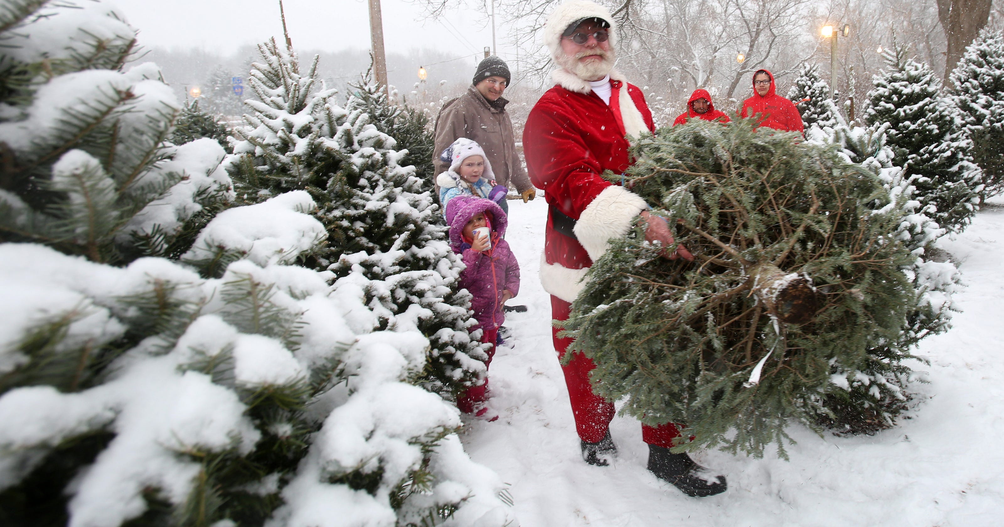 Where in the Hudson Valley to cut your own Christmas tree 2018