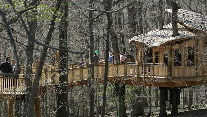 Everybody's Treehouse in Mt. Airy Forest.