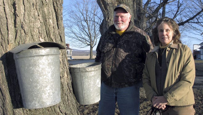 Maple syrup maker Fred Hopkins, left, and his wife Maureen Lake stand next to sap-collecting buckets in St. Albans, Vt., lent to him after 140 of his buckets were stolen off trees.