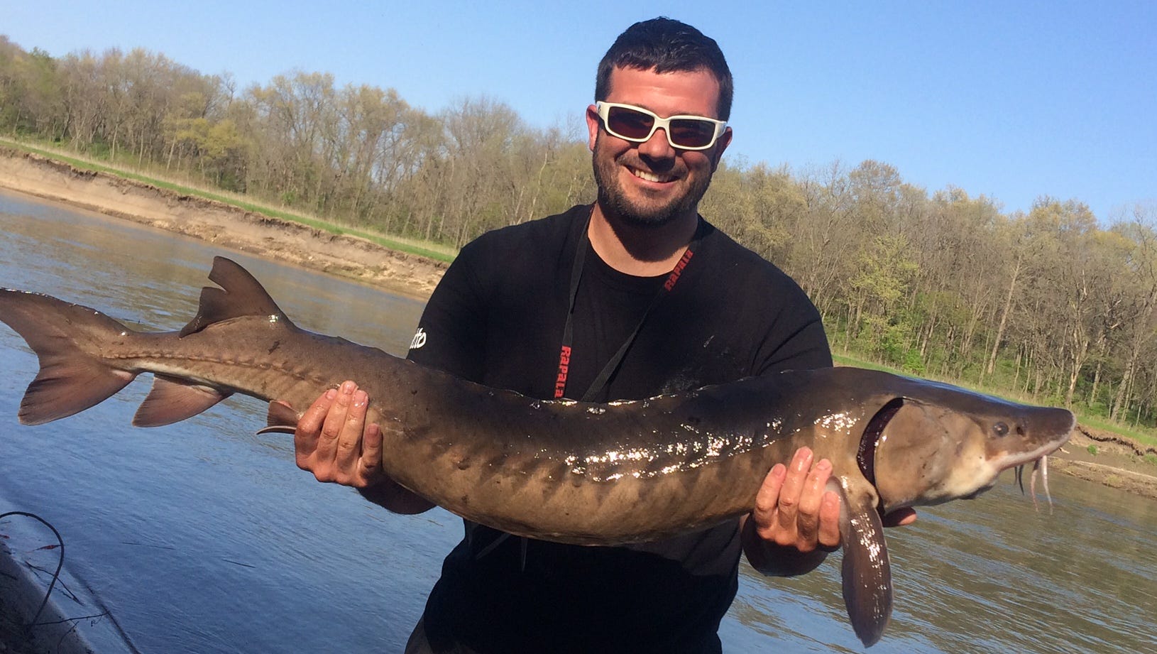 Lake Sturgeon Size Chart