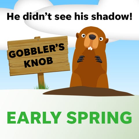 Groundhog Day 2018: Punxsutawney Phil saw his did 