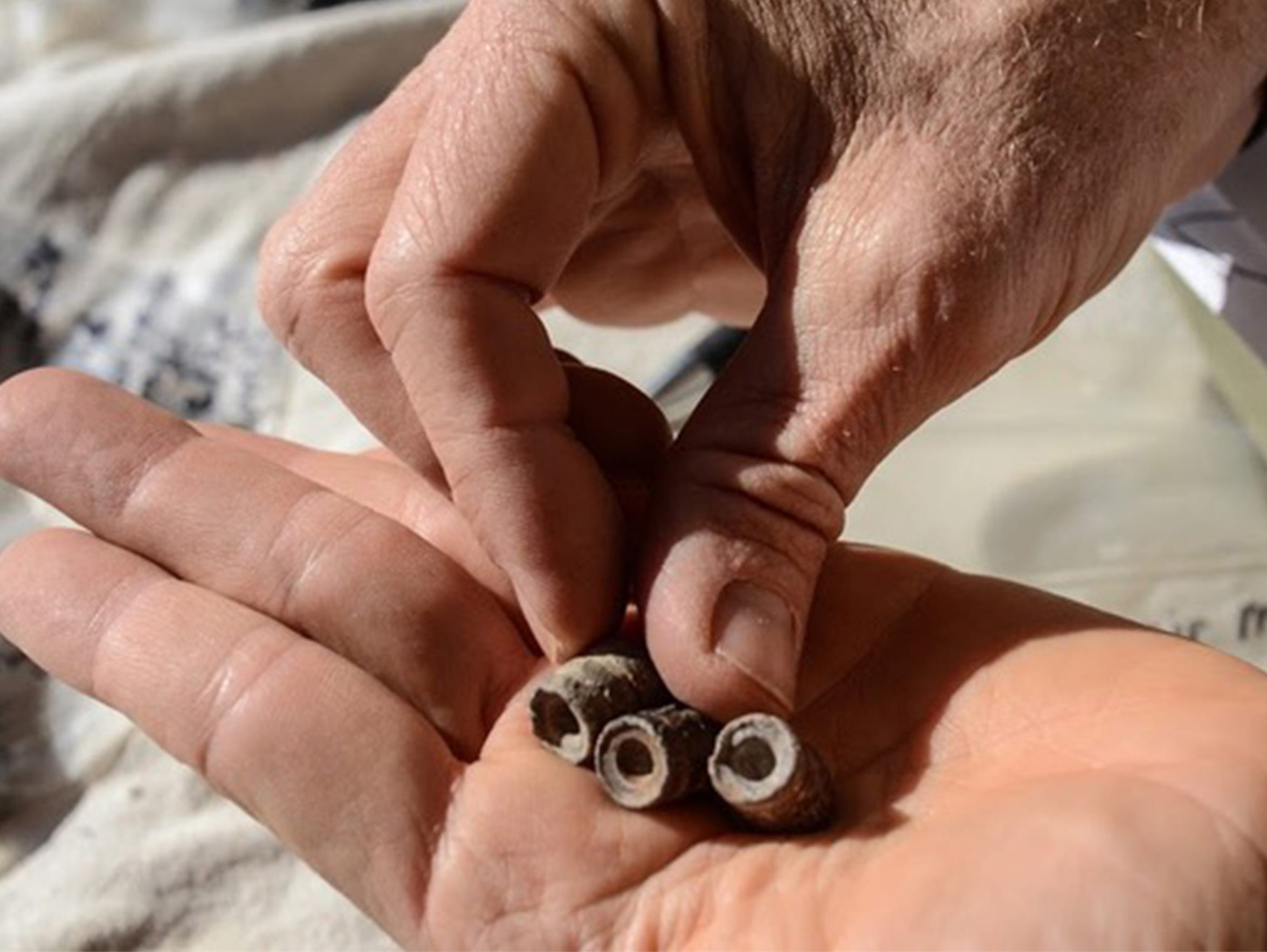 David Keller displays bullets that were excavated from the Porvenir massacre site in Texas.