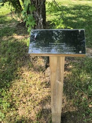 A poison hemlock tree is marked in Austin. Death has found a home in this city of about 4,000, plagued by opiate and heroin abuse.