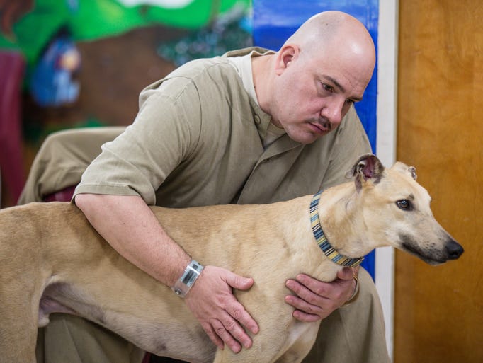 Prison Greyhounds: Inmates help dogs adjust to life off ...