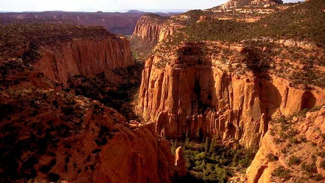 The Upper Gulch section of the Escalante Canyons within Utah's Grand Staircase-Escalante National Monument features sheer sandstone walls, broken occasionally by tributary canyons.