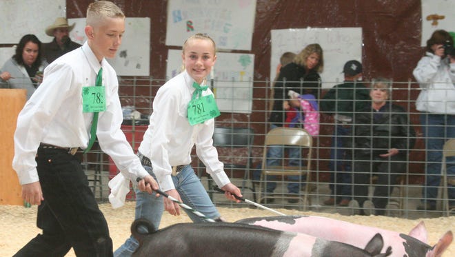4-H members show their pigs during a Lyon County Junior Livestock Show. The Lyon County Fair Board will receive a $6,000 grant from the Nevada Commission on Tourism to advertise its Silver State Livestock Show and Expo.