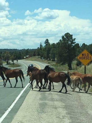 The judge in the Alto wild horse case has extended the temporary restraining order that bars the state Livestock Board from selling or separating the dozen mares and foals they seized in August.