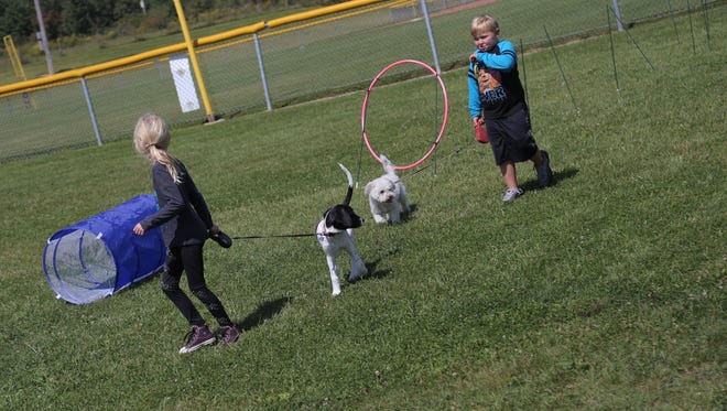 A photo from a previous Strutt Your Mutt at Ontario's Marshall Park.