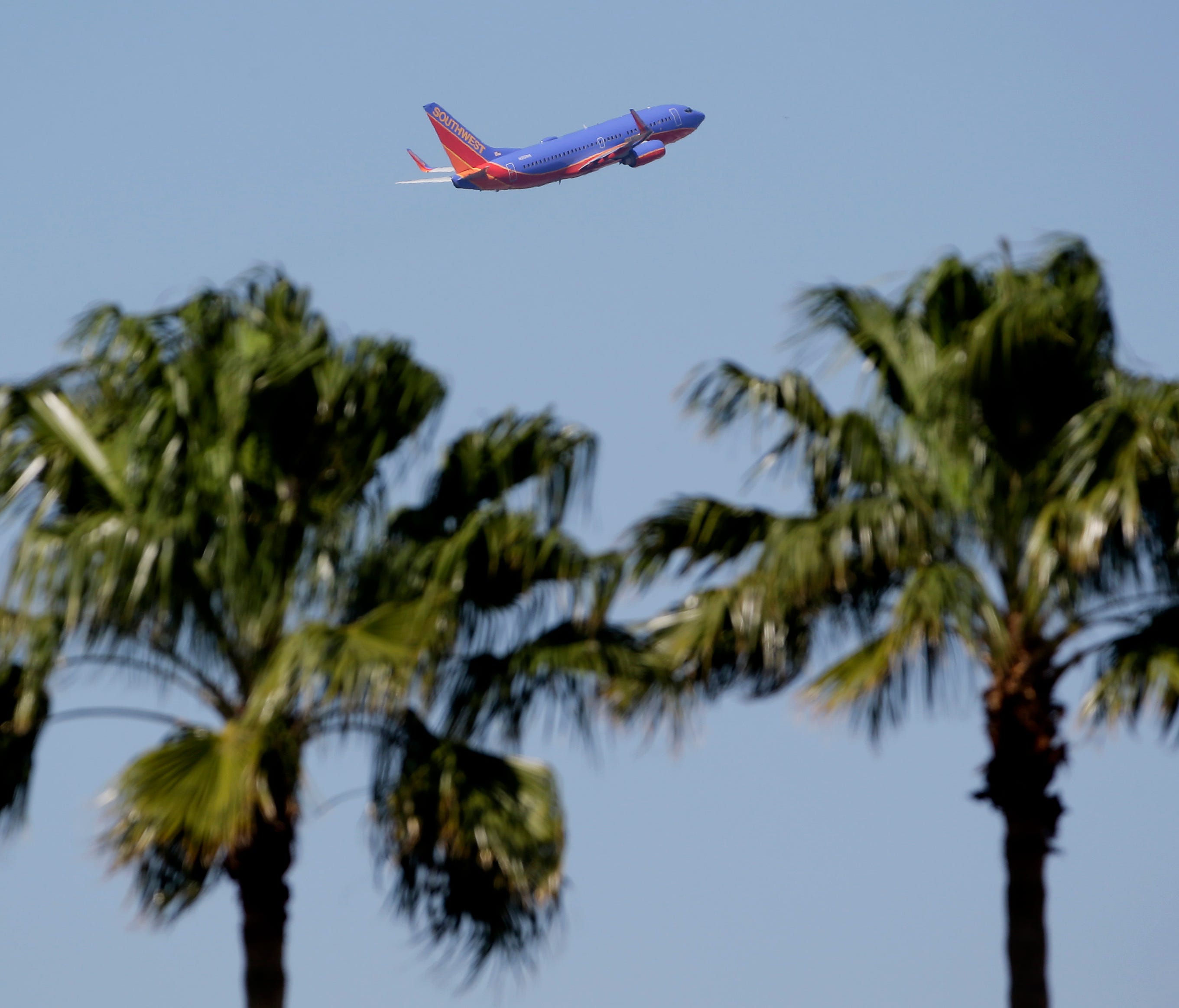 A Southwest Airlines jet takes off from Tampa International Airport on Feb. 27, 2016.