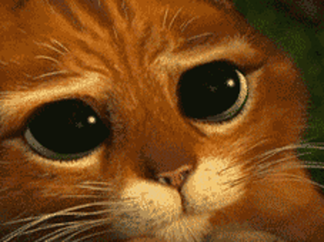 Mom Asks To Borrow Orange Cat For Dinner With Garfield Loving Kids