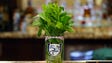 Mint leaves in a souvenir mint julep glass before the
