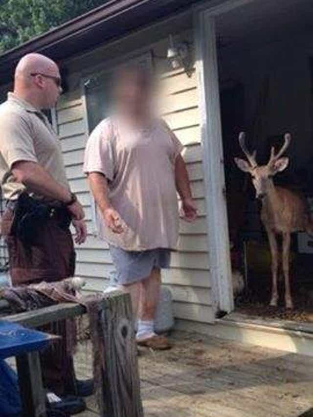 Man Fined For Living With 2 Deer At His Home
