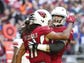 Arizona Cardinals wide receiver Larry Fitzgerald (11)