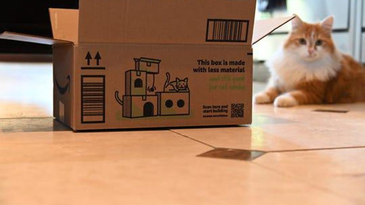 Amazon Introduces Boxes That Can Be Recycled Into Cat Condos Forts And Other Creations