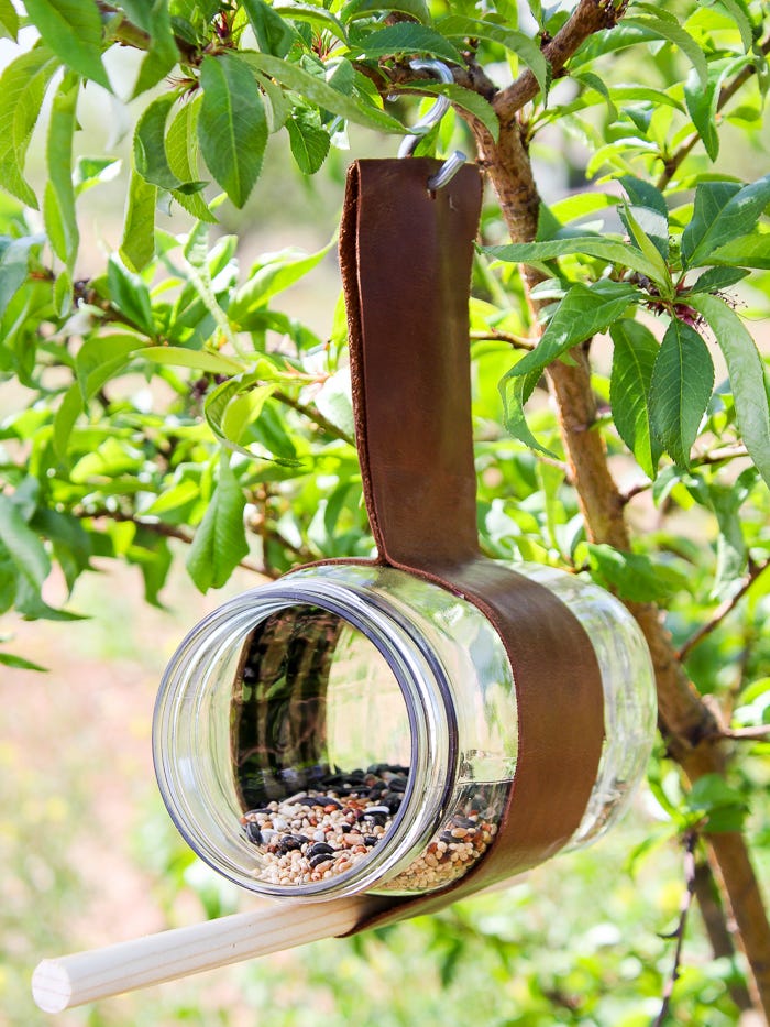 5 Easy Diy Bird Feeders