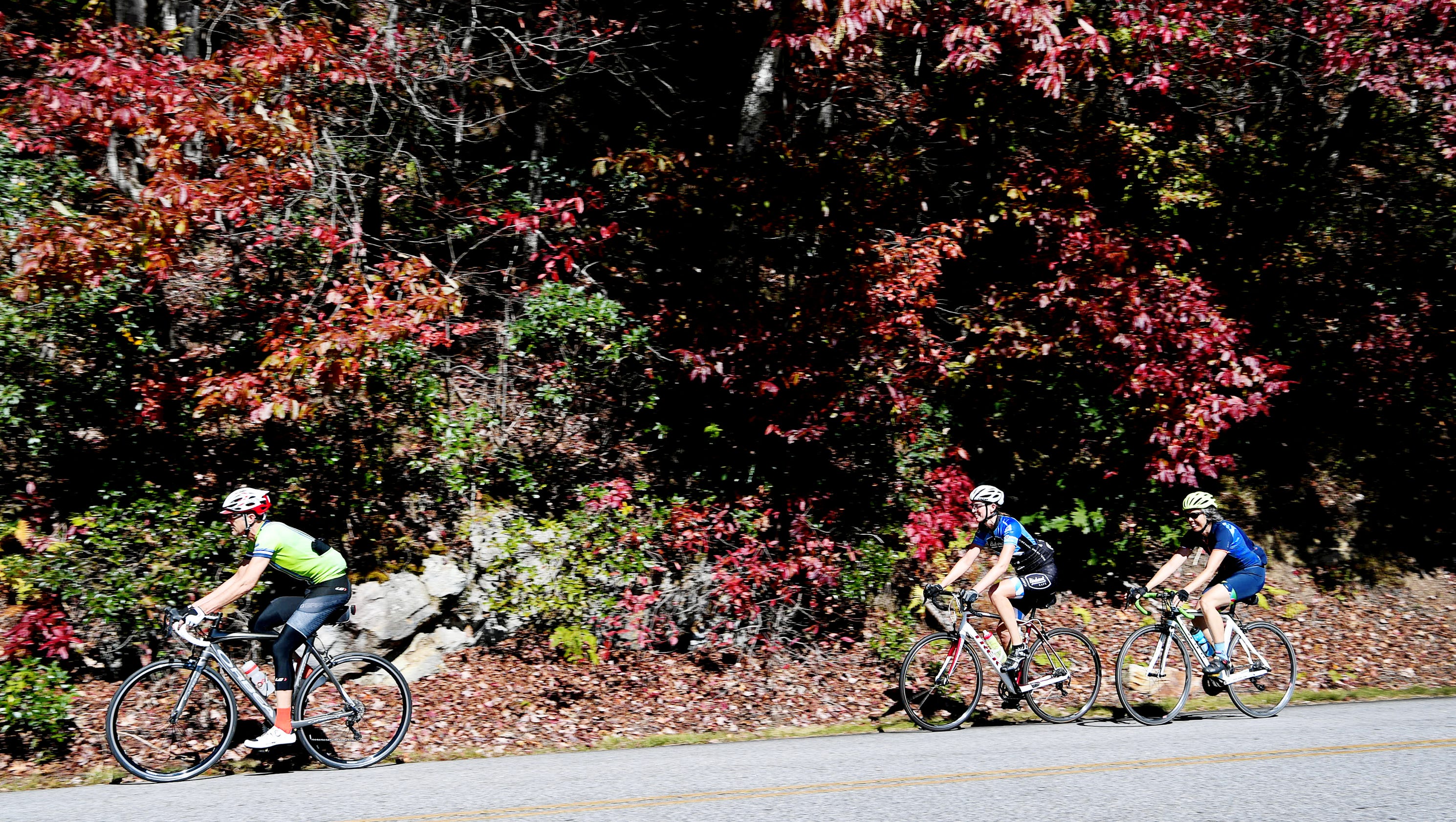 Can bicycles, Blue Ridge Parkway and fall beauty get along?