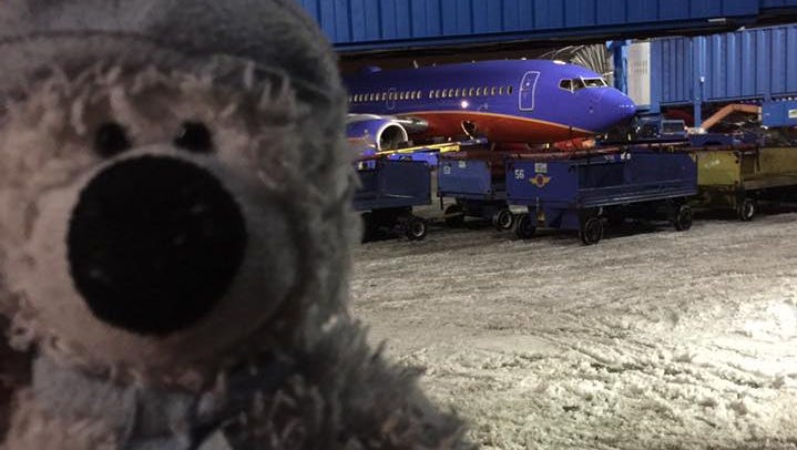Airline Worker And Girl's Lost Teddy Bear Share Epic Adventure At Dtw