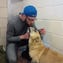 Dog Rescues In Middlesex County Nj Dog Rescues In Middlesex County Nj