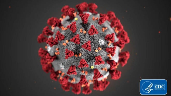 A COVID-19 particle is pictured in this image provided by the Centers for Disease Control and Prevention