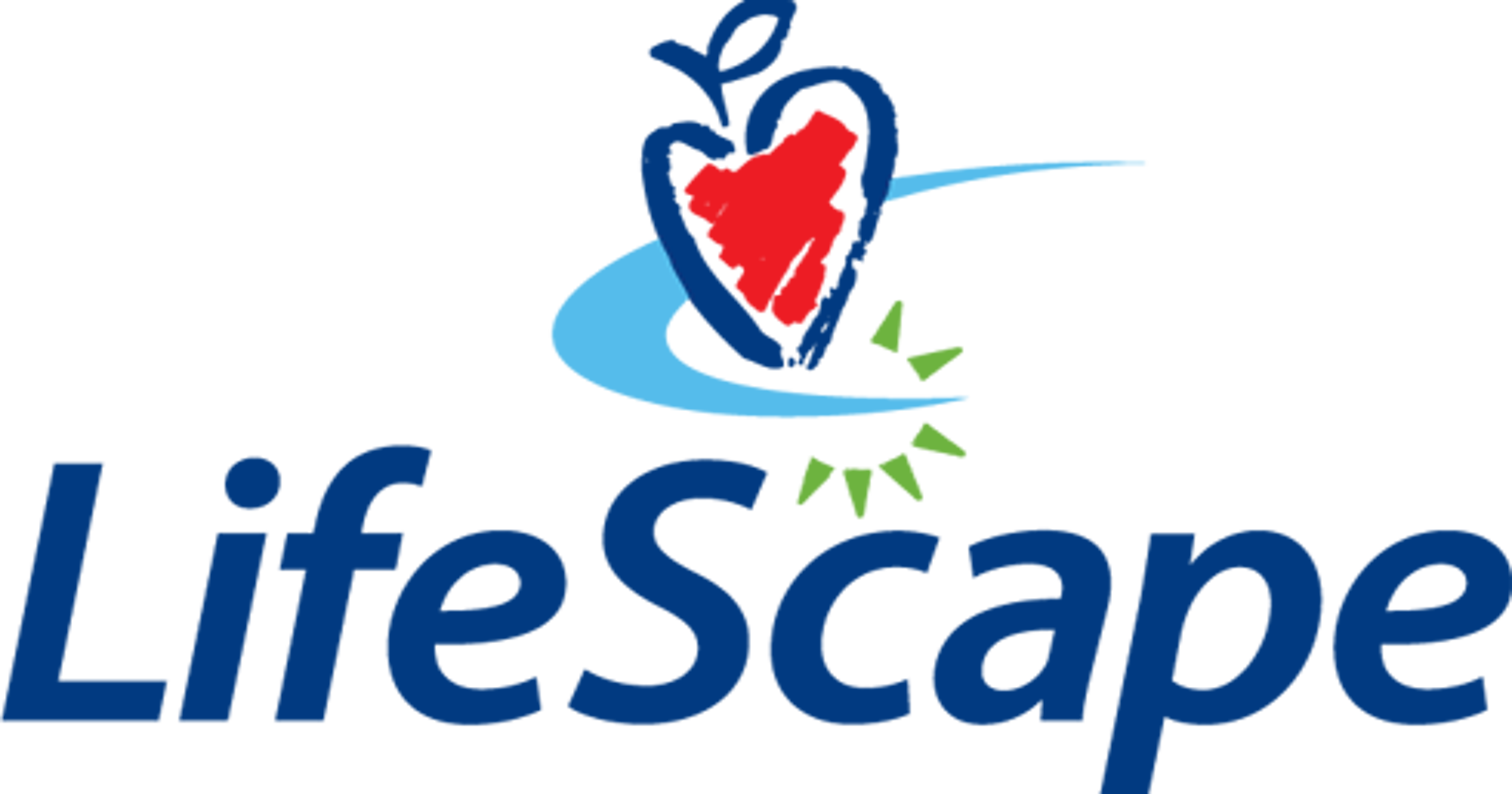 LifeScape on probation after death, abuse investigations