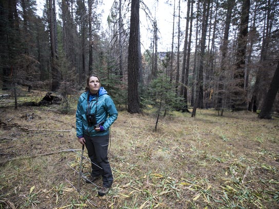 Melissa Merrick stands in the forest on Mount Graham