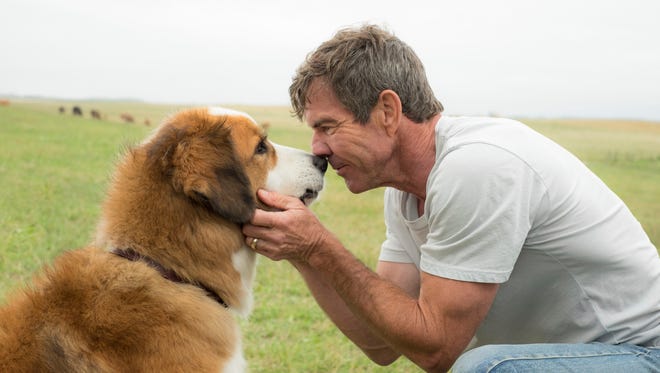 This image released by Universal Pictures shows Dennis Quaid with a dog, voiced by Josh Gad, in a scene from "A Dog's Purpose."  A spokesman for American Humane said Wednesday, Jan. 18, 2017 that it has suspended its safety representative who worked on the set of the film when a frightened German shepherd, not shown, was forced into churning waters.