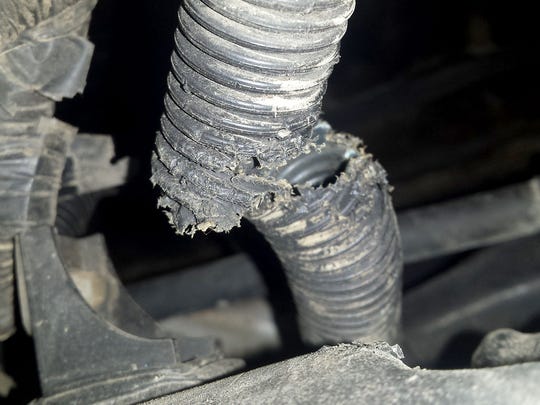 Albert Heber of Indiana owned a Toyota Tundra in 2012 and had rodents chew its soy-based insulated cables three times, the first time in 2013. The total damage was approximately $ 1,500 - damage not covered by Toyota lawyer Brian Kabateck would fall.