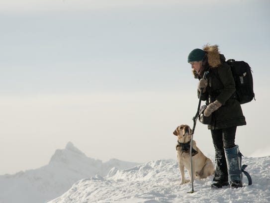 Image result for mountain between us dog