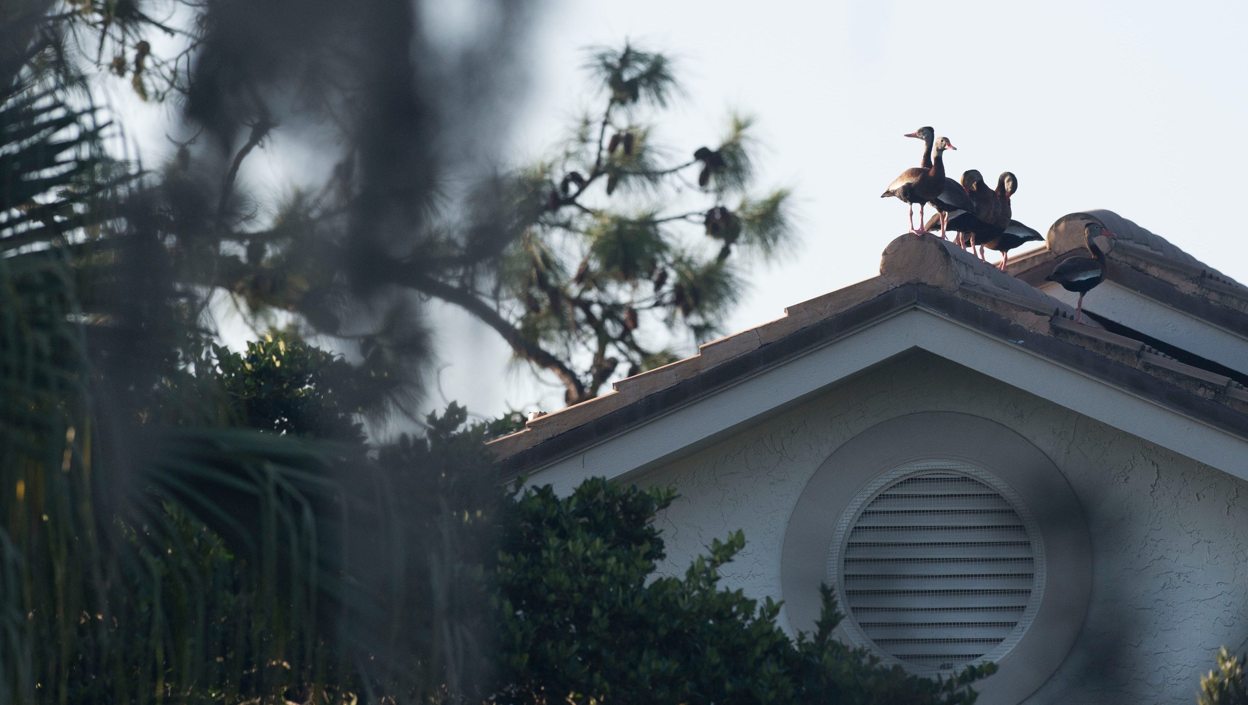 Eight Treasure Coast Golf Courses Certified By Audubon Society