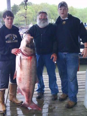 Gene Swope, center, of Excelsior Springs, shows off his record bighead carp with grandsons Garron Grass, right, and Justin Swope, left. The 106-pound fish was snagged at Lake of the Ozarks in 2011.