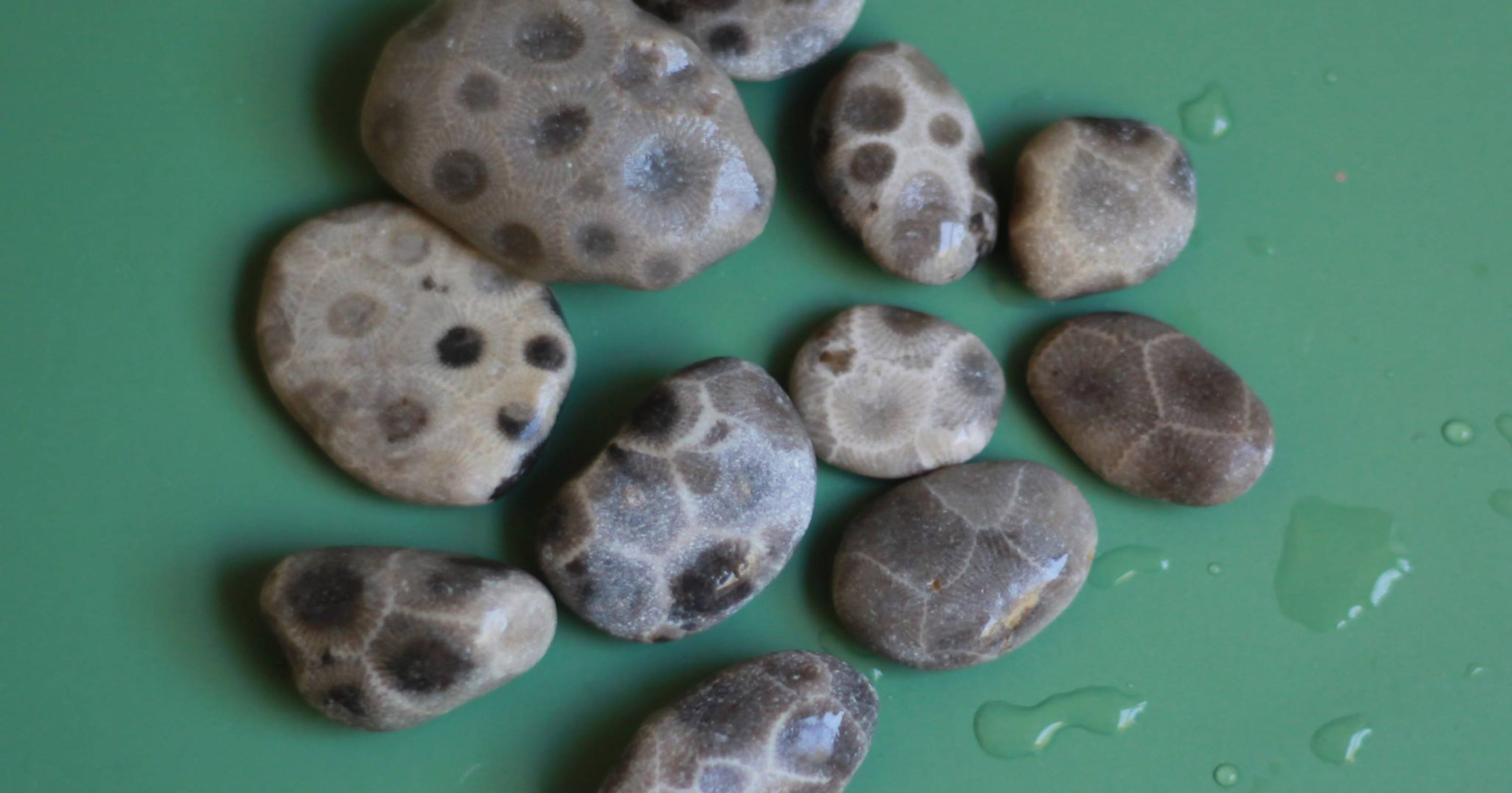 Michigan's coolest rocks and where to find them