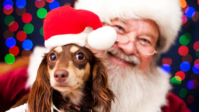 Pet photos with Santa are an adorable holiday tradition. Here's where