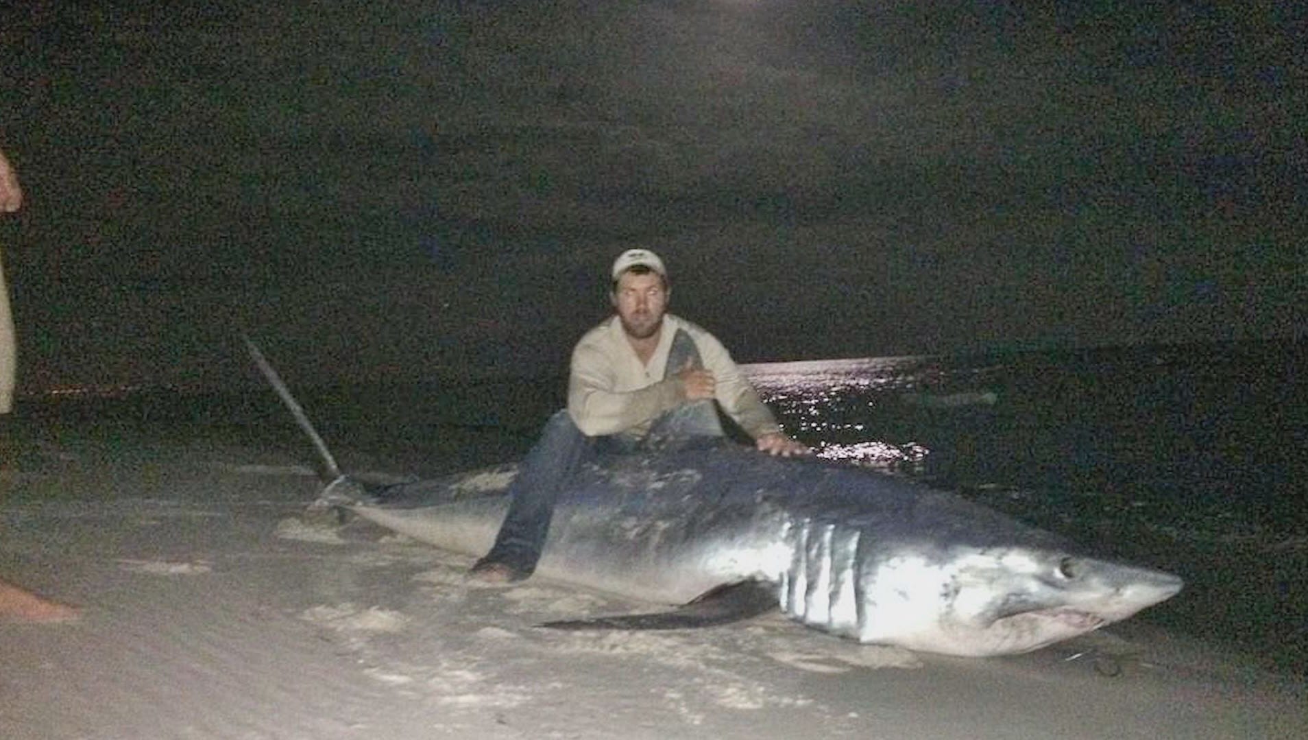 500 Pound Bull Shark Caught Off Egmont Key