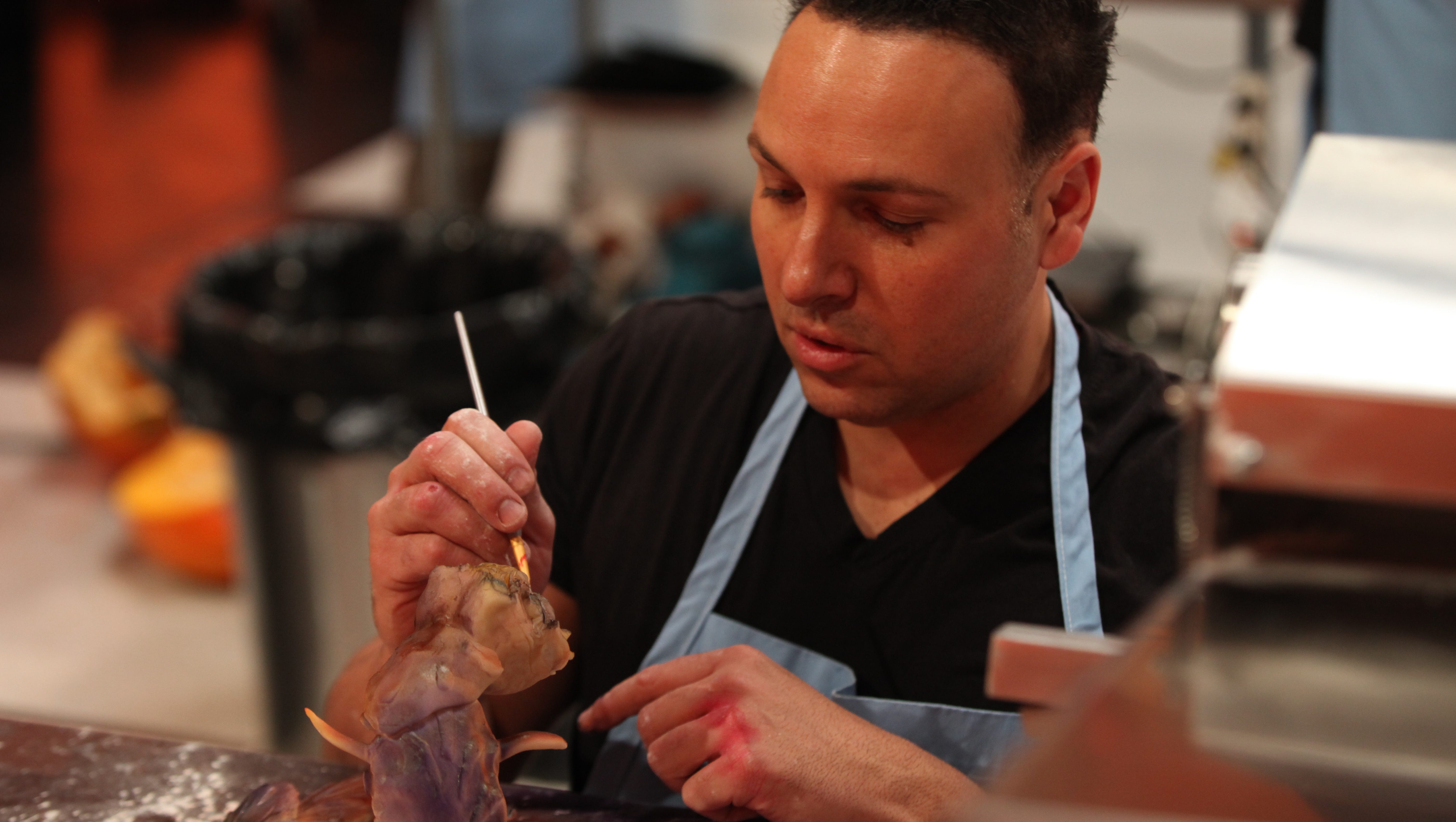 Collingswood Baker Wins Halloween Wars On Food Network