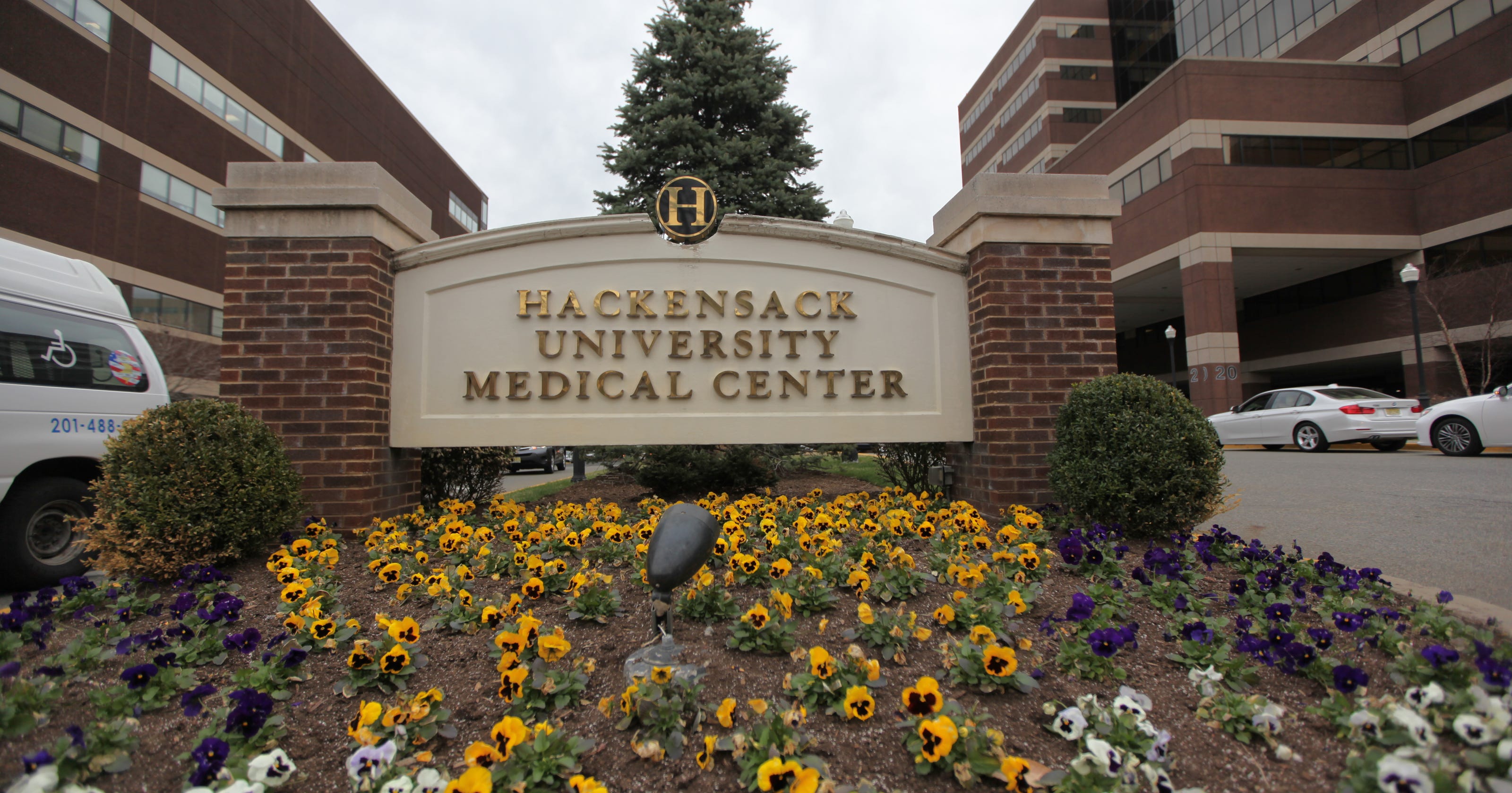 Sdn 2024 Hackensack Dulci Glennie