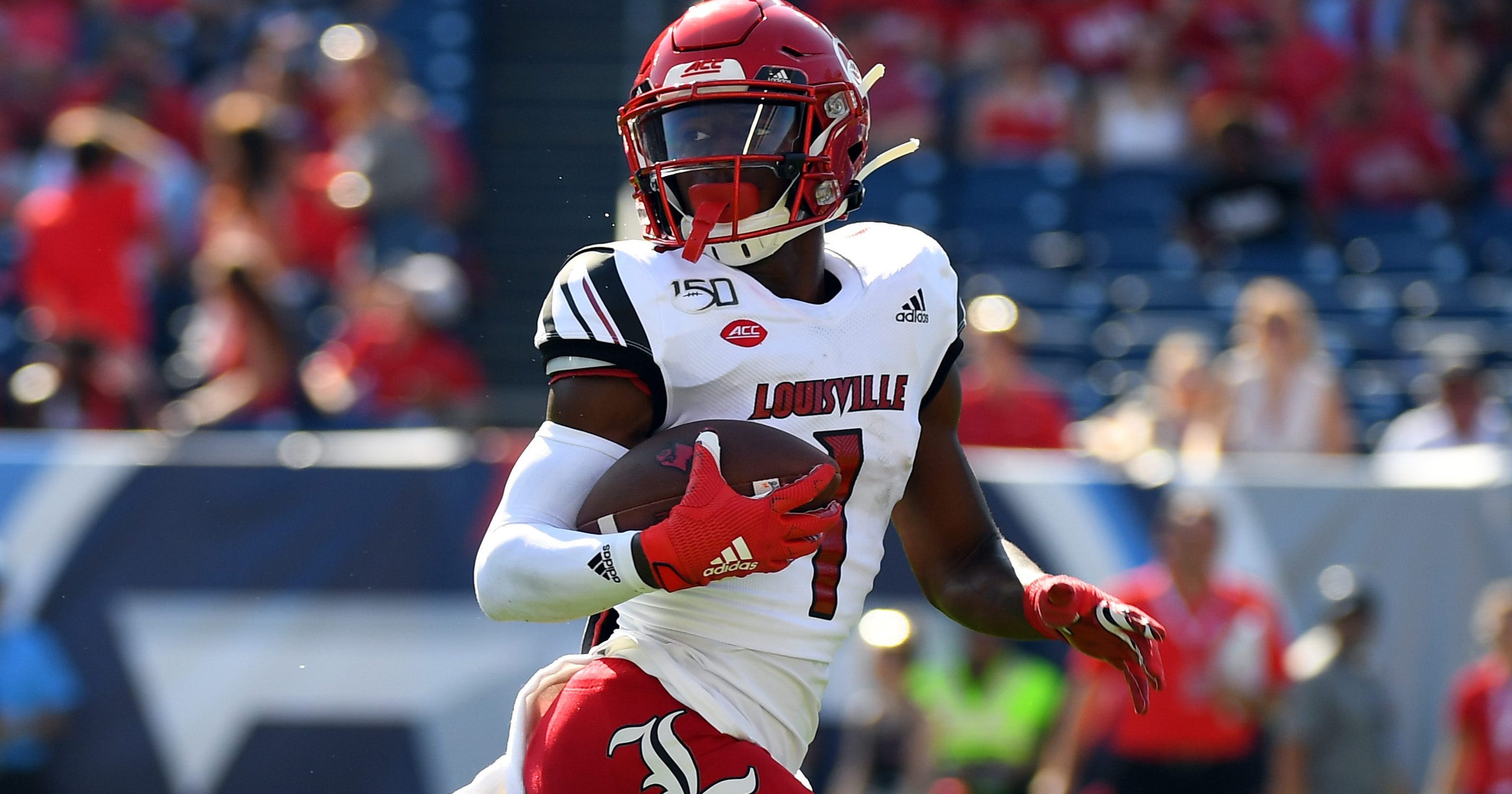 Louisville Cardinals at Florida State Seminoles odds, picks and best bets