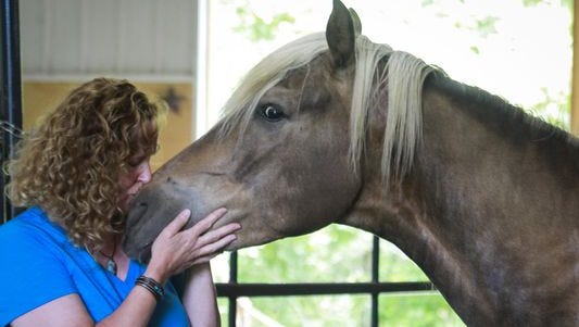Finneas, a 4-year-old Rocky Mountain horse that had gone missing since June 30, is back home safely with his owner Amy Helgren of St. Johns.
