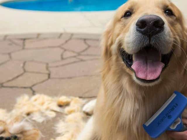 18 Products That Actually Remove Pet Hair