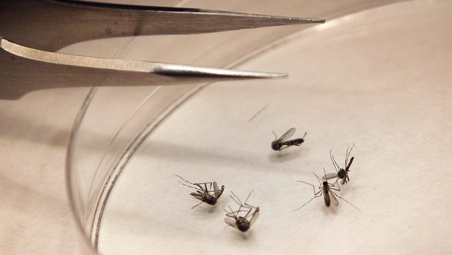 Metro Public Health Department officials have confirmed that one human case of West Nile virus has been confirmed.