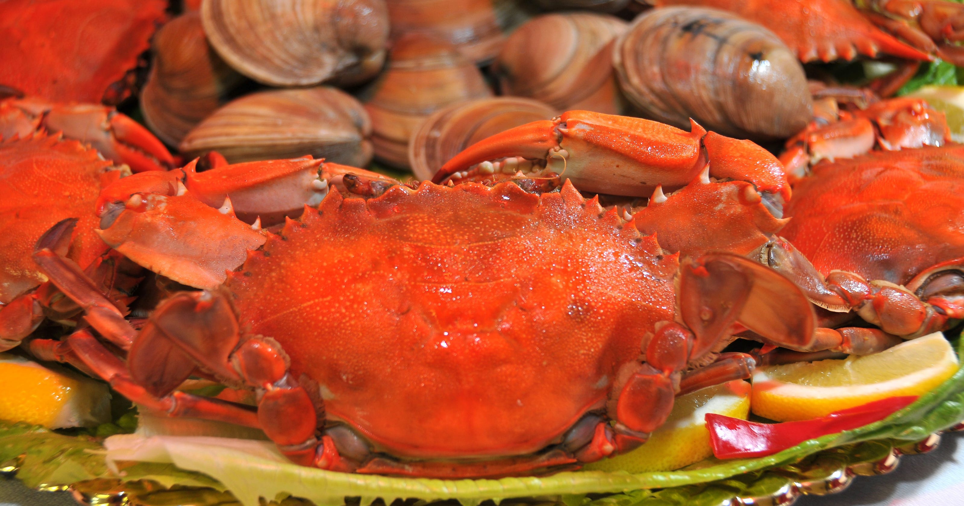Like crab, lobster? Head to Grant for seafood fest