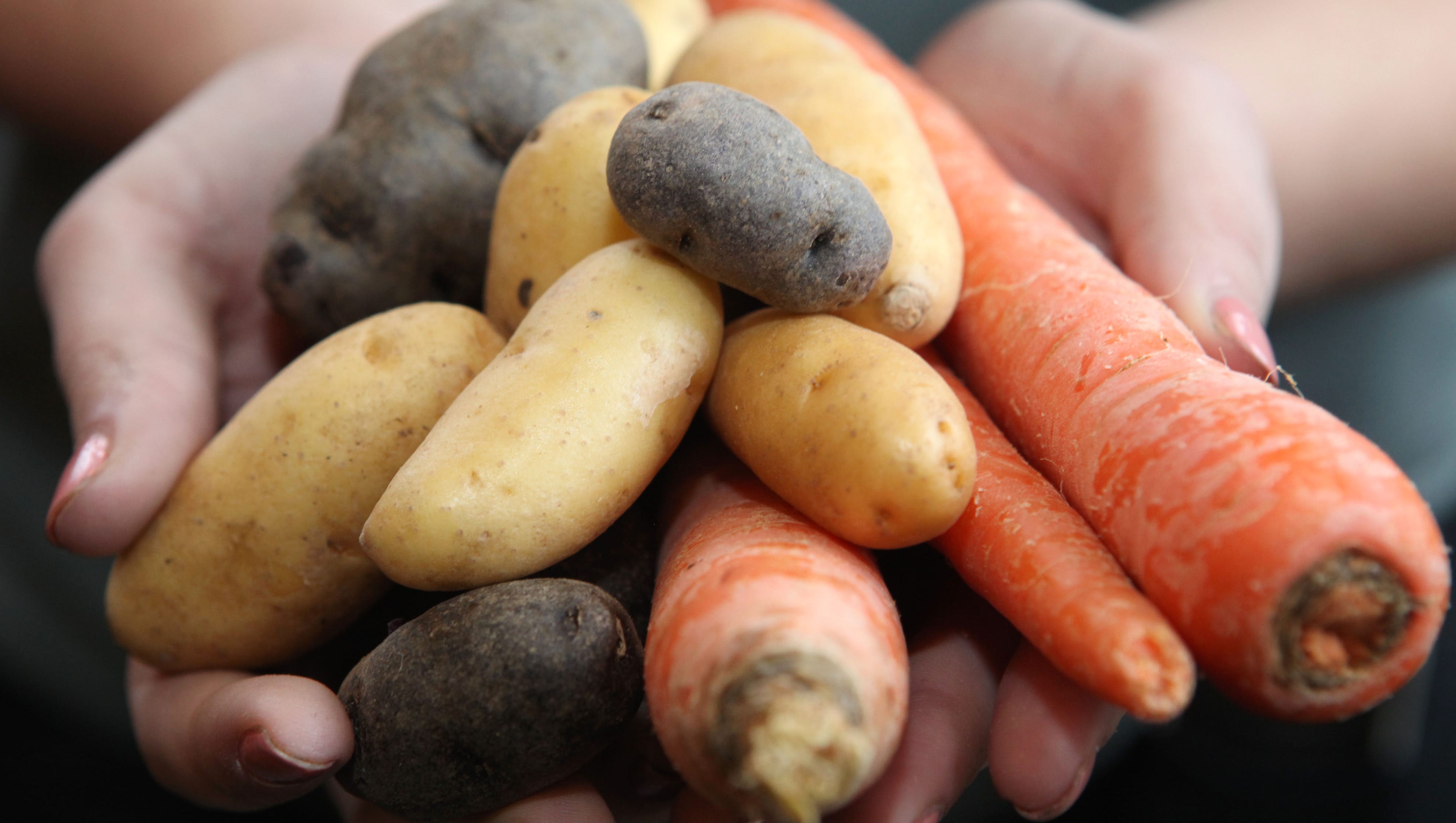 11 Indoor Farmers Markets In Lower Hudson Valley