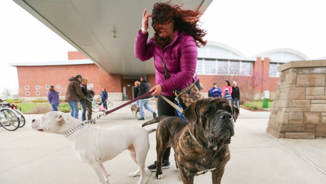 Wind-blown attendees at the Hamilton County Humane Society's Parade-A-Bull event April 2 at the Monon Community Center in Carmel. More wind is expected in the upcoming days.